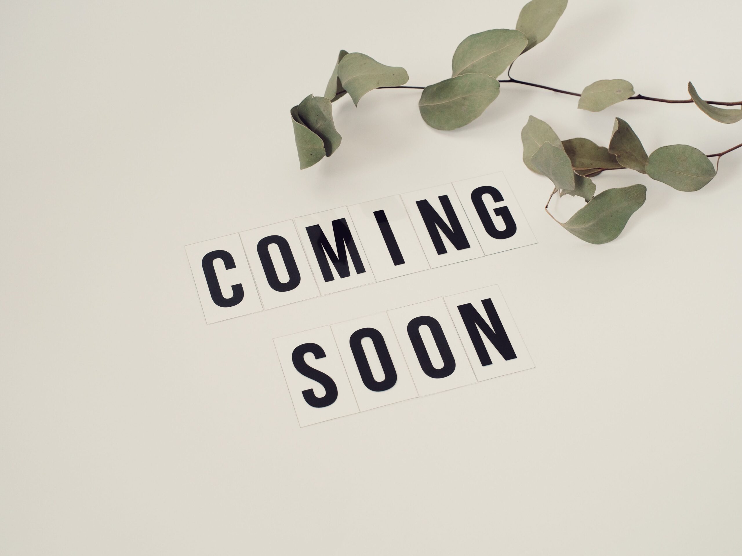 Eucalyptus branch with 'Coming Soon' message on white background for announcements.